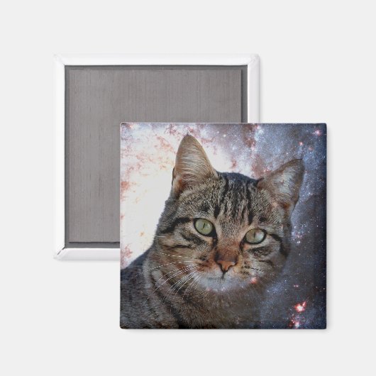 Raumkatze Magnet (Vorderseite/Rückseite)