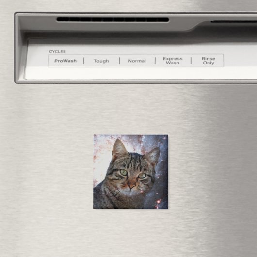 Raumkatze Magnet (In Situ (Geschirrspüler))