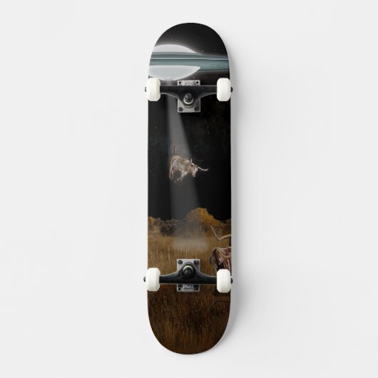 RAUMKLEINE SKATEBOARD (Vorderseite)