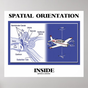 Raumorientierung innen (Ohranatomie-Flugzeug) Poster