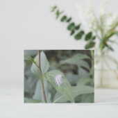 Raupe #6 postkarte (Stehend Vorderseite)