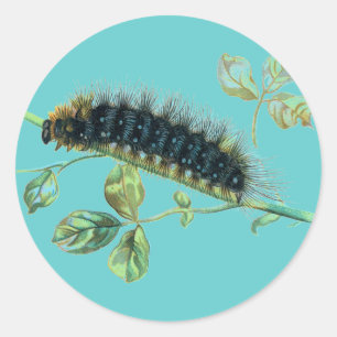 Raupe Arctia caja Runder Aufkleber