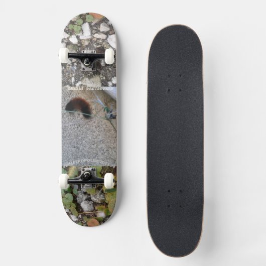 Raupe auf der Rollschuhdeckbahn Skateboard (Vorderseite)