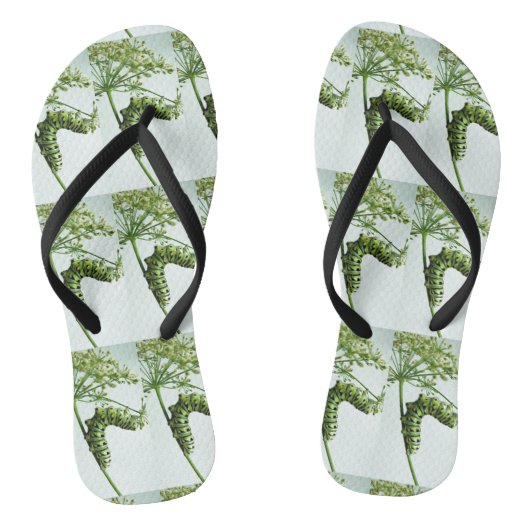 Raupe aus schwarzem Frack isst Petersilie Badesandalen (Fußbett)