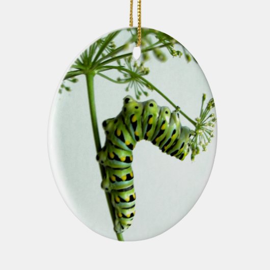 Raupe aus schwarzem Frack isst Petersilie Keramik Ornament (Rechts)