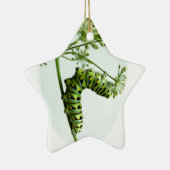 Raupe aus schwarzem Frack isst Petersilie Keramikornament (Rechts)