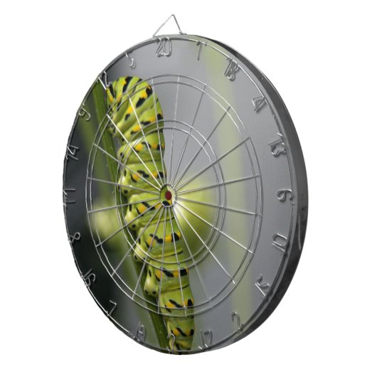 Raupe aus schwarzem Frack (Petersilie) auf Dil. Dartscheibe (Vorderseite rechts)