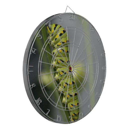 Raupe aus schwarzem Frack (Petersilie) auf Dil. Dartscheibe (Vorderseite Links)