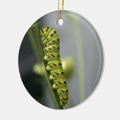 Raupe aus schwarzem Frack (Petersilie) auf Dil. Keramikornament (Links)