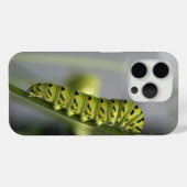 Raupe Case-Mate iPhone Hülle (Rückseite (Horizontal))