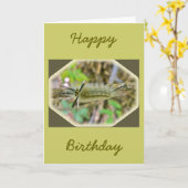 Raupe der Banded Tussock Moth Karte (Gelbe Blume)