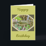 Raupe der Banded Tussock Moth Karte<br><div class="desc">Diese Raupe macht einen Kokon ihrer Haare,  trockenen Blätter und Überwintern auf dem Waldboden. Wenn es im Frühling als Motte auftaucht,  hat es eine Spannweite von bis zu 2 Zoll.</div>