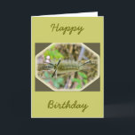 Raupe der Banded Tussock Moth Karte<br><div class="desc">Diese Raupe macht einen Kokon ihrer Haare,  trockenen Blätter und Überwintern auf dem Waldboden. Wenn es im Frühling als Motte auftaucht,  hat es eine Spannweite von bis zu 2 Zoll.</div>