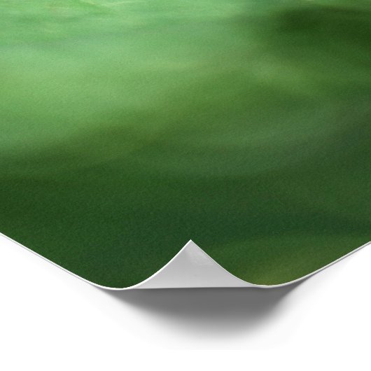 Raupe der breitfüßigen Birkenblattwespe Poster (Ecke)