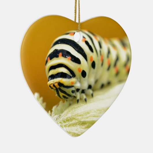 Raupe des Fracks Keramik Ornament (Rechts)