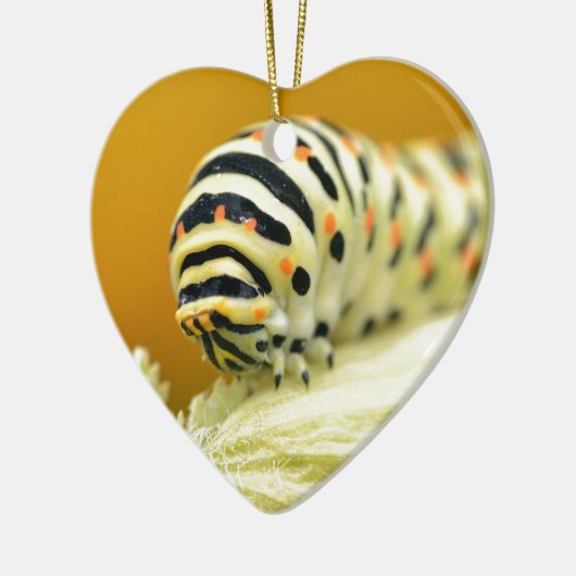 Raupe des Fracks Keramik Ornament (Links)