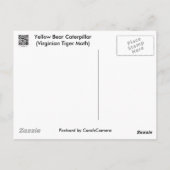 Raupe des Gelbbbären Postkarte (Rückseite)