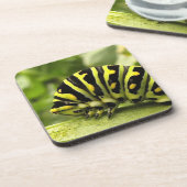 Raupe des Schwarzen Fracks Getränkeuntersetzer (Linke Seite)