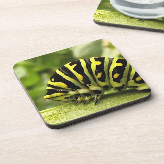 Raupe des Schwarzen Fracks Getränkeuntersetzer (Linke Seite)
