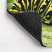 Raupe des Schwarzen Fracks Mousepad (Ecke)