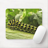 Raupe des Schwarzen Fracks Mousepad (Mit Mouse)