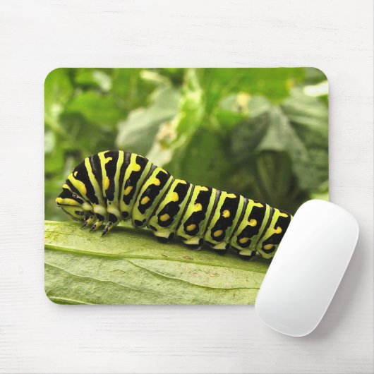 Raupe des Schwarzen Fracks Mousepad (Mit Mouse)