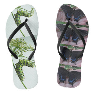 Raupe des schwarzen Fracks/Schmetterling Badesandalen