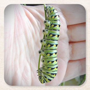 Raupe des schwarzen Fracks/Schmetterling Rechteckiger Pappuntersetzer