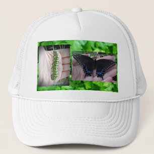 Raupe des schwarzen Fracks/Schmetterling Truckerkappe