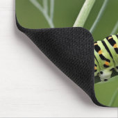 Raupe, Dovetail, Insekt Mousepad (Ecke)