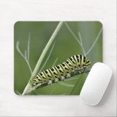 Raupe, Dovetail, Insekt Mousepad (Mit Mouse)