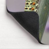 Raupe, Dovetail, nah Mousepad (Ecke)