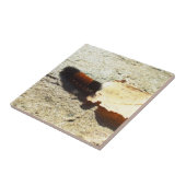 Raupe Fliese (Seite)