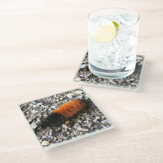 Raupe Glasuntersetzer (Schrägansicht)