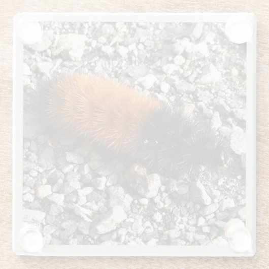 Raupe Glasuntersetzer (Rückseite)