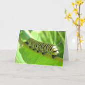 Raupe Grußkarte Karte (Gelbe Blume)