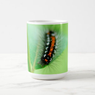 Raupe Kaffeetasse