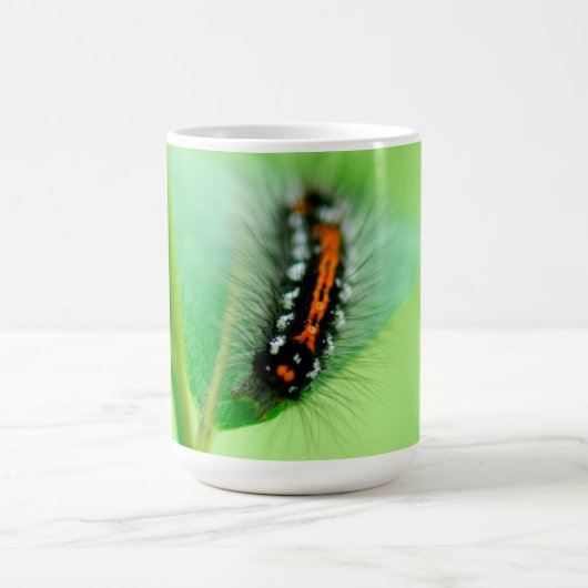 Raupe Kaffeetasse (Mittel)
