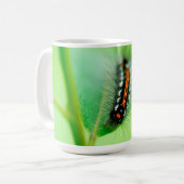 Raupe Kaffeetasse (Vorderseite Links)