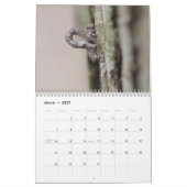 Raupe Kalender (Mär 2027)