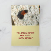 Raupe Karte (Innenseite)