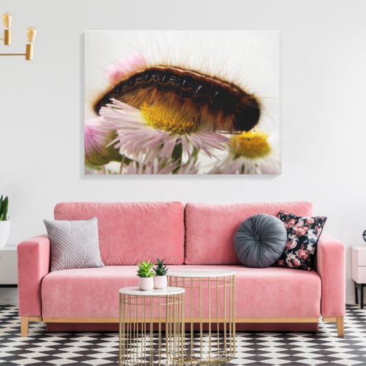 Raupe Leinwanddruck (Insitu (Wohnzimmer))