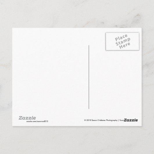 Raupe Makro Postkarte (Rückseite)