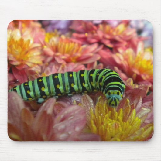 Raupe Nah Mousepad (Vorne)