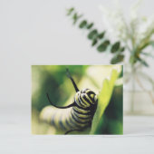 Raupe Nah und persönlich Postkarte (Stehend Vorderseite)
