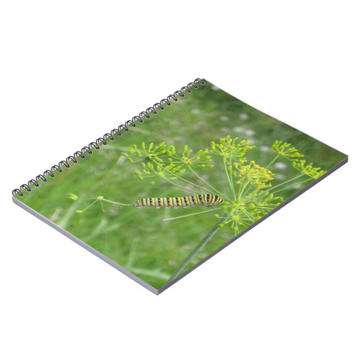 Raupe Notizblock (Linke Seite)