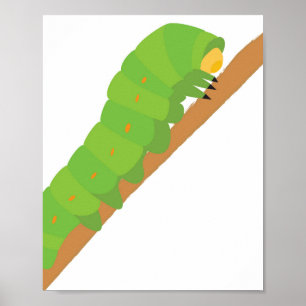 Raupe Poster