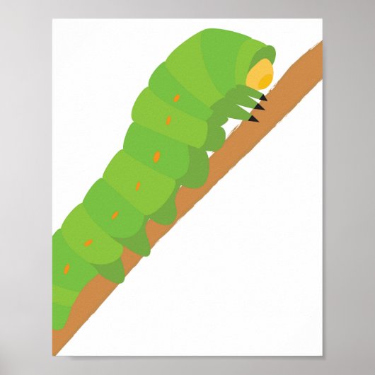 Raupe Poster (Vorne)