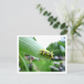 Raupe Postkarte (Stehend Vorderseite)