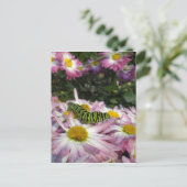 Raupe Postkarte (Stehend Vorderseite)